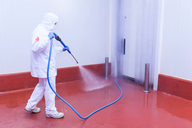 Trusted Marmora, NJ  Pressure Washing Services Experts